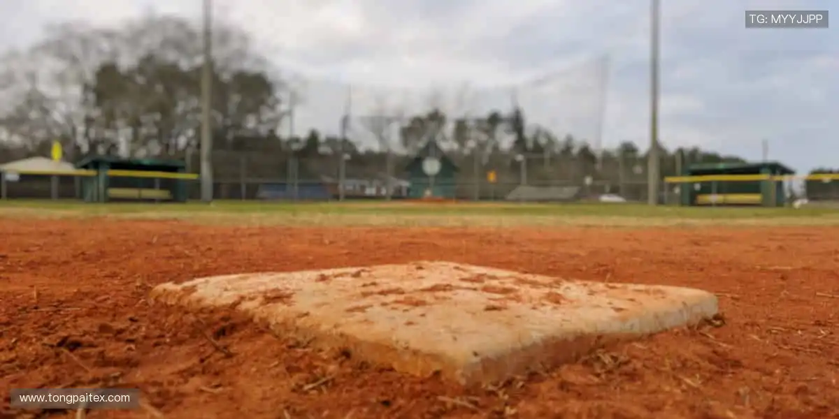 🎁从装备到情怀，一站式收藏热爱！